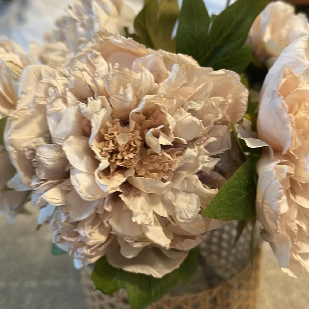 Abigail Ahern Beige Blush Artificial Peony Flower